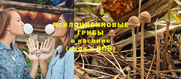 хмурый Нягань