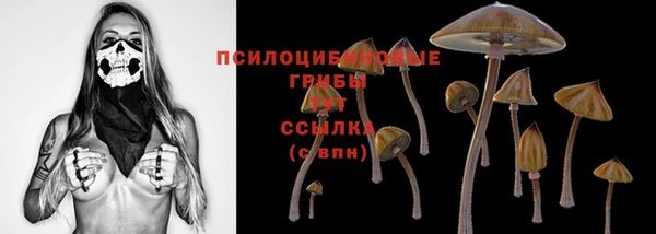 MESCALINE Новозыбков