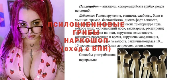 прущая мука Новодвинск