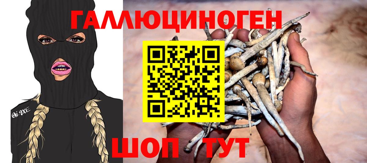 Ревда  Псилоцибиновые грибы Psilocybe  Вход с VPN 