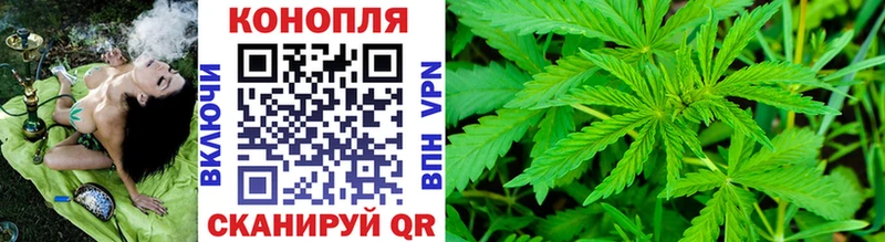 купить наркоту  Ревда  Канабис ГИДРОПОН 